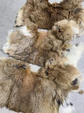 画像2: ラビットファー　ハギレセット　うさぎ毛皮 (2)