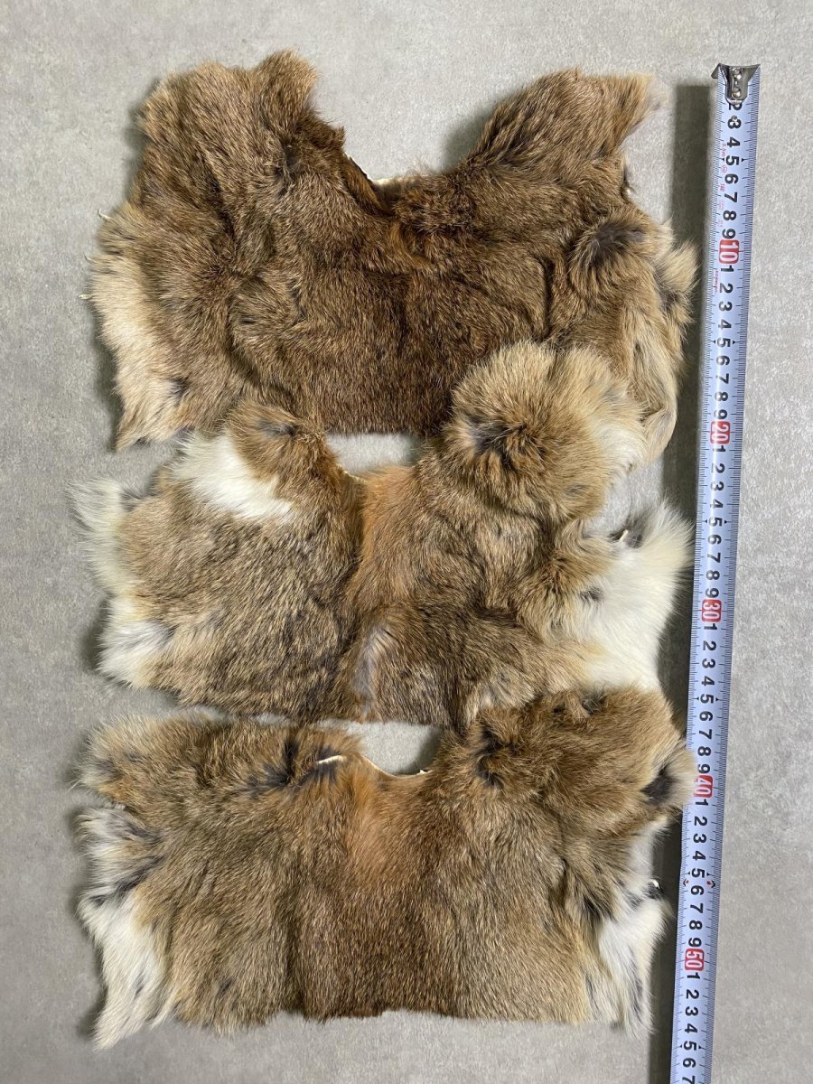 画像3: ラビットファー　ハギレセット　うさぎ毛皮 (3)