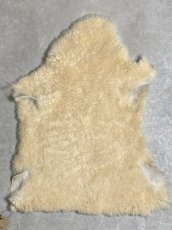 画像1: ムートン毛皮　クリーム (1)