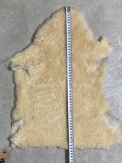画像10: ムートン毛皮　クリーム (10)