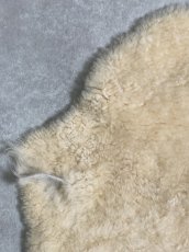 画像2: ムートン毛皮　クリーム (2)