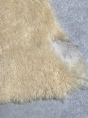 画像5: ムートン毛皮　クリーム (5)