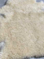 画像6: ムートン毛皮　クリーム (6)