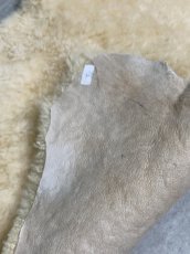 画像8: ムートン毛皮　クリーム (8)