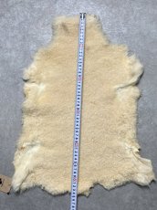 画像10: ムートン毛皮　クリーム (10)