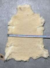 画像9: ムートン毛皮　クリーム (9)