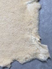 画像5: ムートン毛皮　クリーム (5)