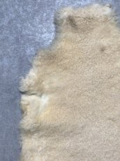 画像2: ムートン毛皮　クリーム (2)