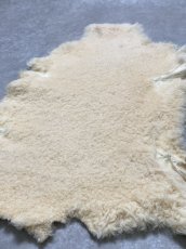 画像6: ムートン毛皮　クリーム (6)