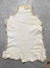 画像11: ムートン毛皮　クリーム (11)
