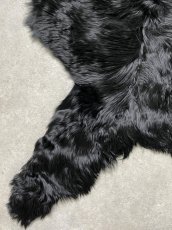 画像5: アルパカ毛皮　ブラック (5)