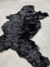 画像7: アルパカ毛皮　ブラック (7)