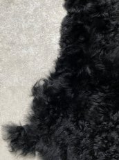 画像2: アルパカ毛皮　ブラック (2)