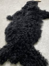 画像7: アルパカ毛皮　ブラック (7)