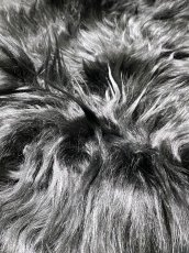 画像8: アルパカ毛皮　ブラック (8)