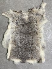 画像1: ラビットファー　チンチラ　うさぎ毛皮　Sサイズ (1)