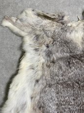 画像3: ラビットファー　チンチラ　うさぎ毛皮　Sサイズ (3)
