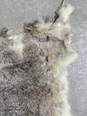 画像4: ラビットファー　チンチラ　うさぎ毛皮　Sサイズ (4)