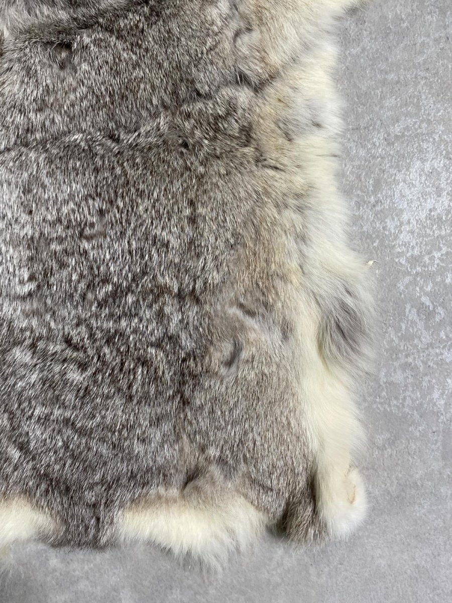 画像6: ラビットファー　チンチラ　うさぎ毛皮　Sサイズ (6)