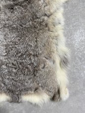 画像6: ラビットファー　チンチラ　うさぎ毛皮　Sサイズ (6)
