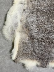 画像5: ラビットファー　チンチラ　うさぎ毛皮　Sサイズ (5)