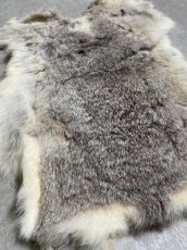 画像7: ラビットファー　チンチラ　うさぎ毛皮　Sサイズ (7)