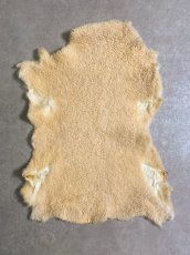 画像1: ムートン毛皮　クリーム (1)