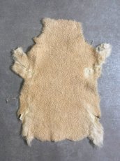 画像1: ムートン毛皮　クリーム (1)