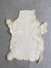画像4: ムートン毛皮　クリーム (4)
