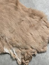 画像4: ラビットファー　ピンクベージュ　うさぎ毛皮　Lサイズ (4)