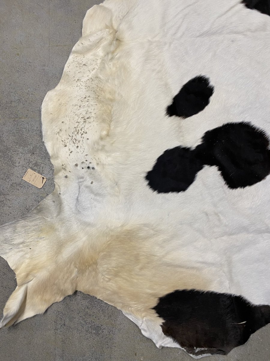 画像4: 牛  ヘアカウ　ナチュラル　ホルスタイン　毛皮　 (4)