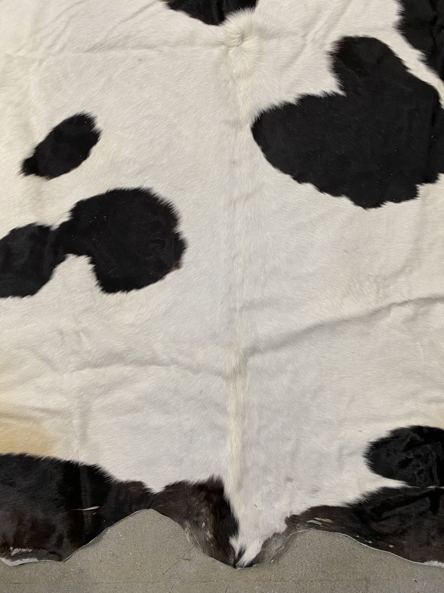 画像5: 牛  ヘアカウ　ナチュラル　ホルスタイン　毛皮　 (5)