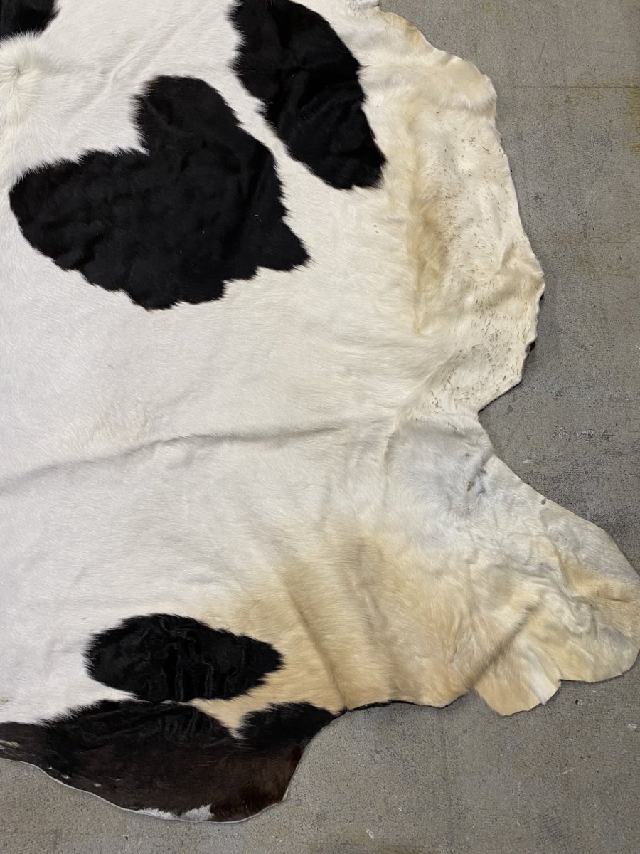 画像6: 牛  ヘアカウ　ナチュラル　ホルスタイン　毛皮　 (6)