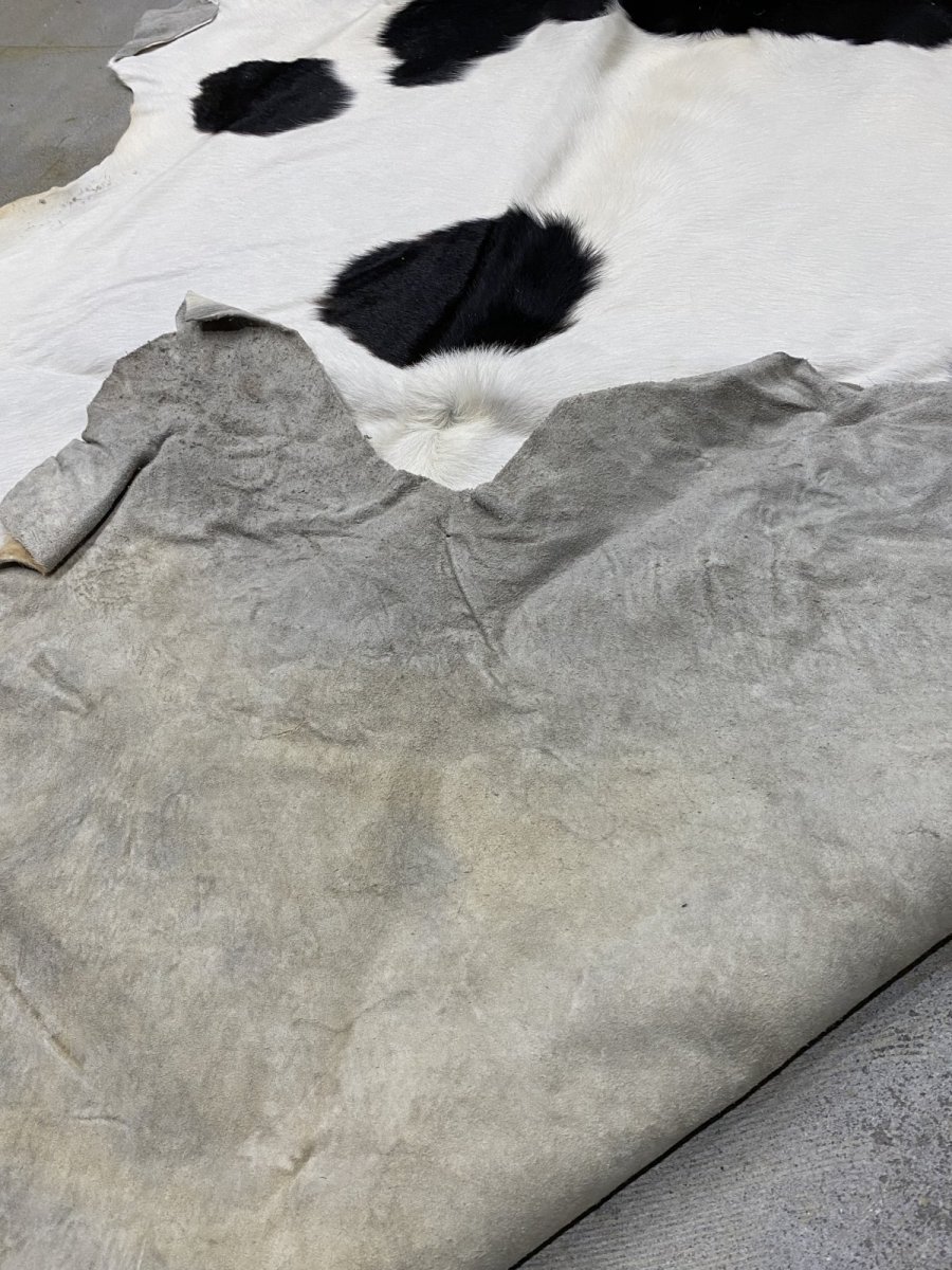 画像8: 牛  ヘアカウ　ナチュラル　ホルスタイン　毛皮　 (8)