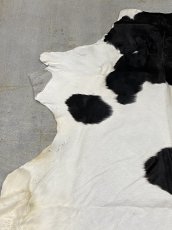 画像2: 牛  ヘアカウ　ナチュラル　ホルスタイン　毛皮　 (2)