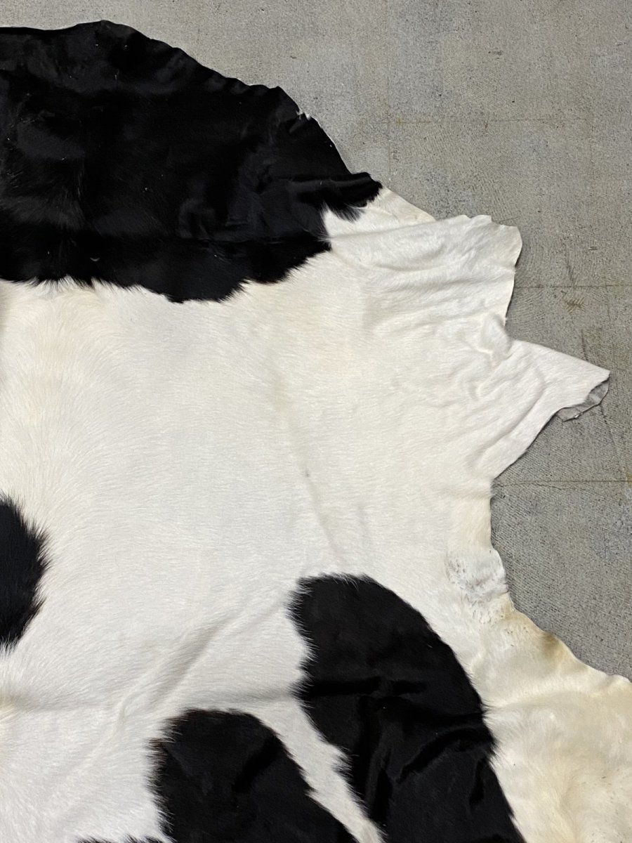 画像3: 牛  ヘアカウ　ナチュラル　ホルスタイン　毛皮　 (3)