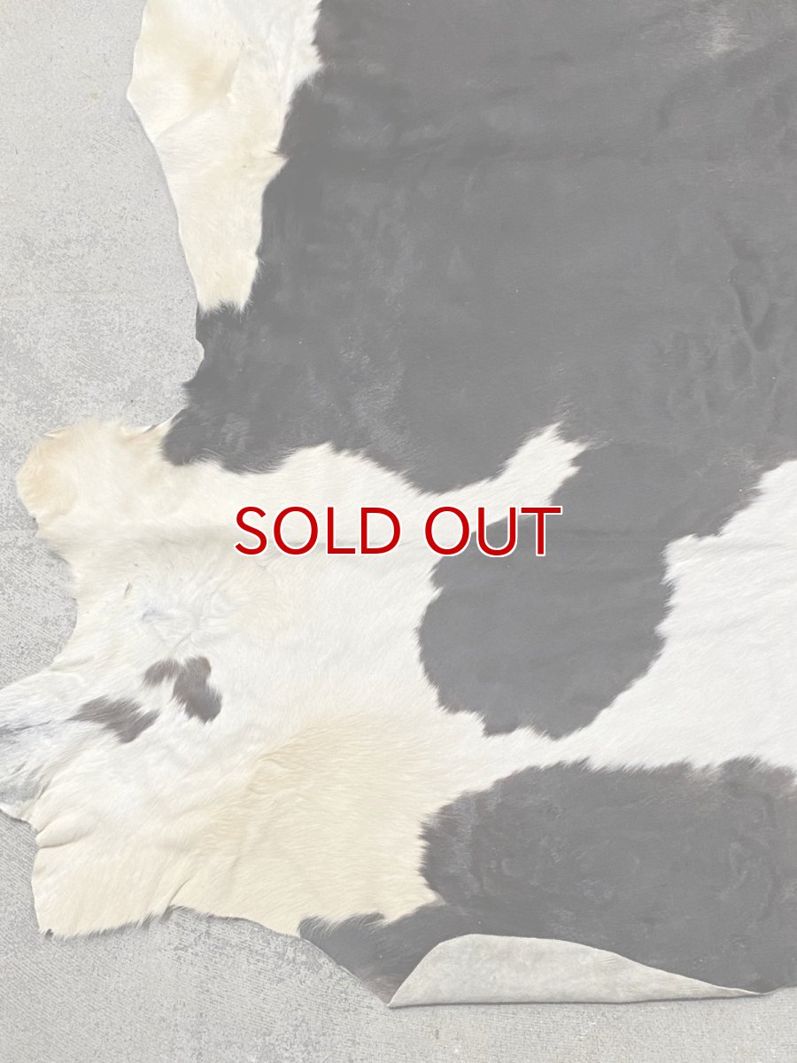 画像4: 牛  ヘアカウ　ナチュラル　ホルスタイン　毛皮　 (4)
