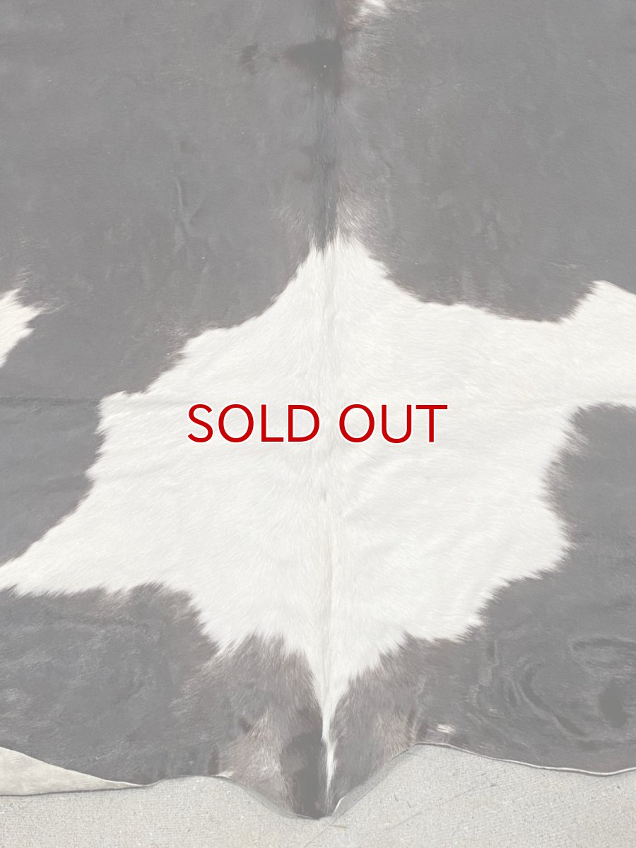 画像5: 牛  ヘアカウ　ナチュラル　ホルスタイン　毛皮　 (5)