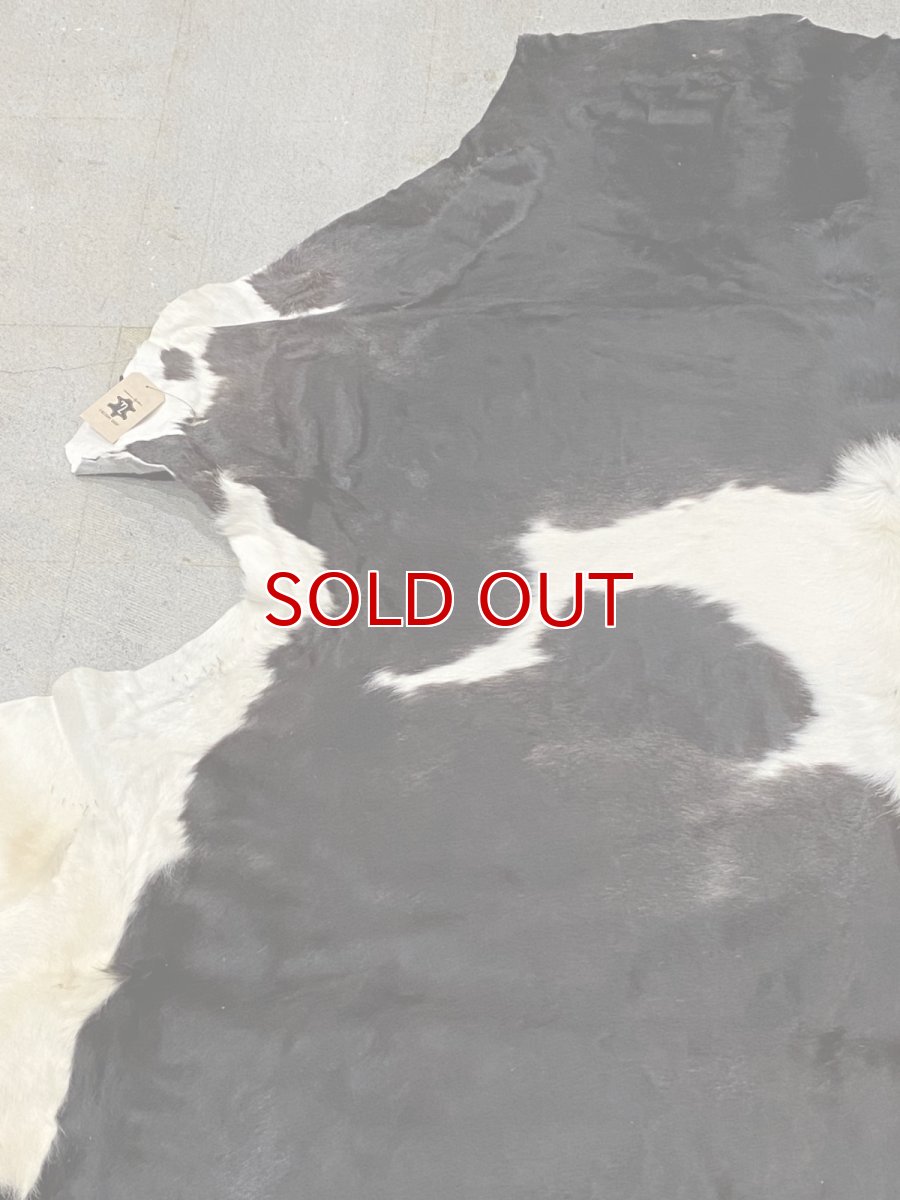画像2: 牛  ヘアカウ　ナチュラル　ホルスタイン　毛皮　 (2)