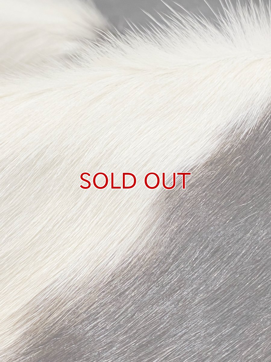 画像7: 牛  ヘアカウ　ナチュラル　ホルスタイン　毛皮　 (7)