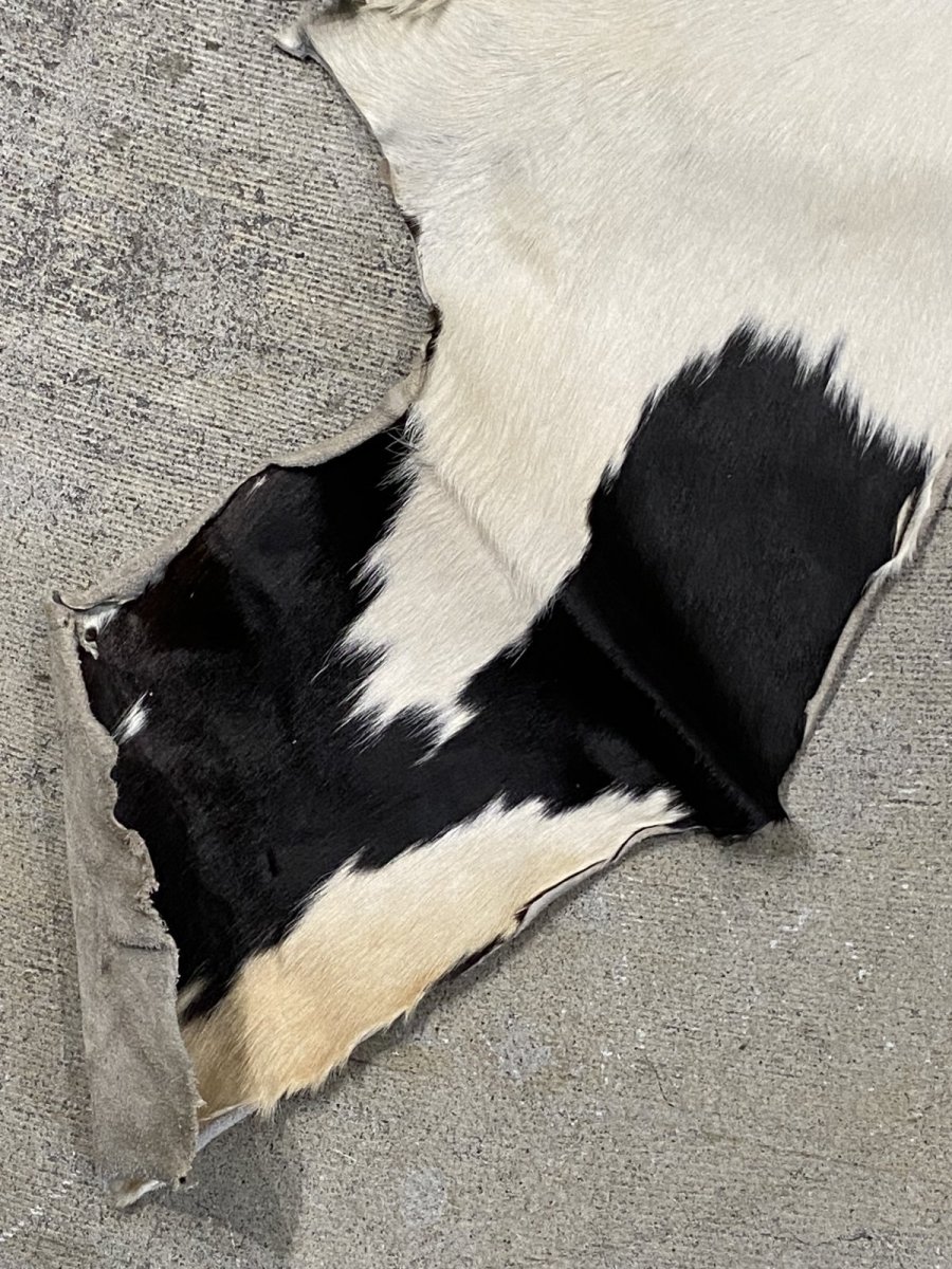 画像5: 牛  ヘアカウ　ナチュラル　ホルスタイン　毛皮　 (5)