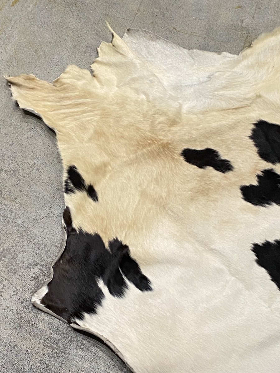 画像4: 牛  ヘアカウ　ナチュラル　ホルスタイン　毛皮　 (4)