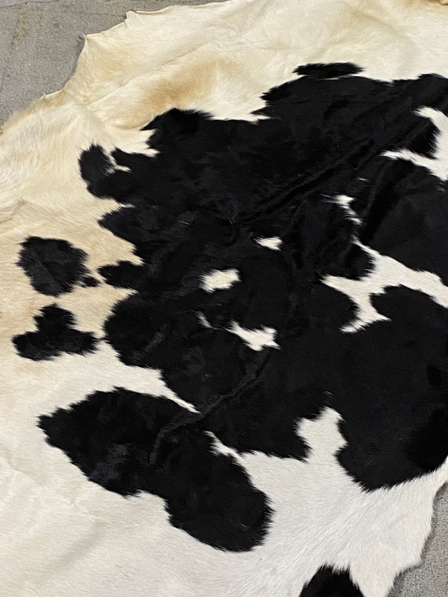 画像3: 牛  ヘアカウ　ナチュラル　ホルスタイン　毛皮　 (3)