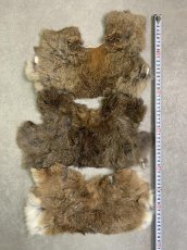 画像3: ラビットファー　ハギレセット　うさぎ毛皮 (3)