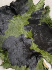 画像5: 牛 ヘアーカーフ　グリーン柄あり　毛皮　 (5)