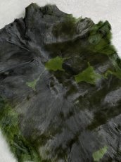 画像5: 牛 ヘアーカーフ　グリーン柄あり　毛皮　 (5)