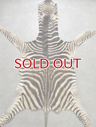 しまうま 73285903.jpg?20140402111156