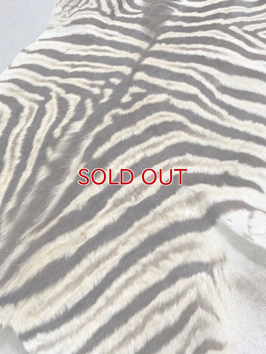 画像3: シマウマ毛皮　Mサイズ　ベビーゼブラ毛皮　本革　シマウマ革　天然　敷物　南アフリカ (3)