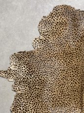 画像2: 牛 ヘアーカーフ　ブラウン　チーター柄　牛革毛付き　毛皮　牛カーフ毛付き (2)