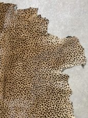 画像3: 牛 ヘアーカーフ　ブラウン　チーター柄　牛革毛付き　毛皮　牛カーフ毛付き (3)